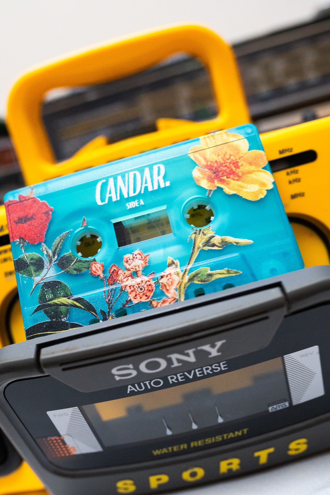 Wallflower EP Cassettes