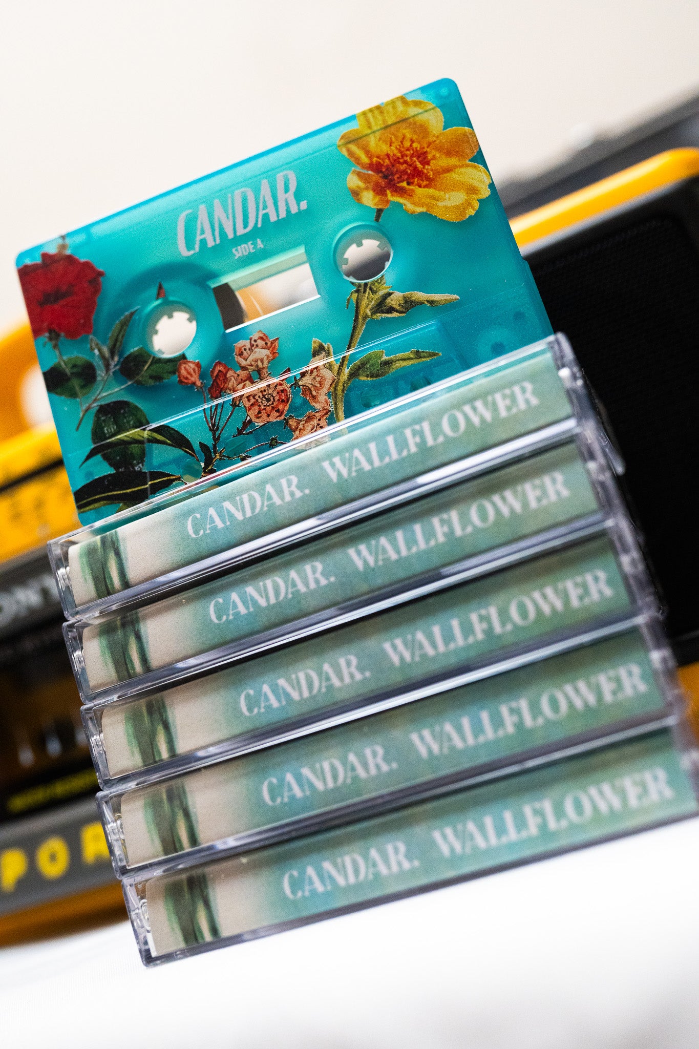 Wallflower EP Cassettes