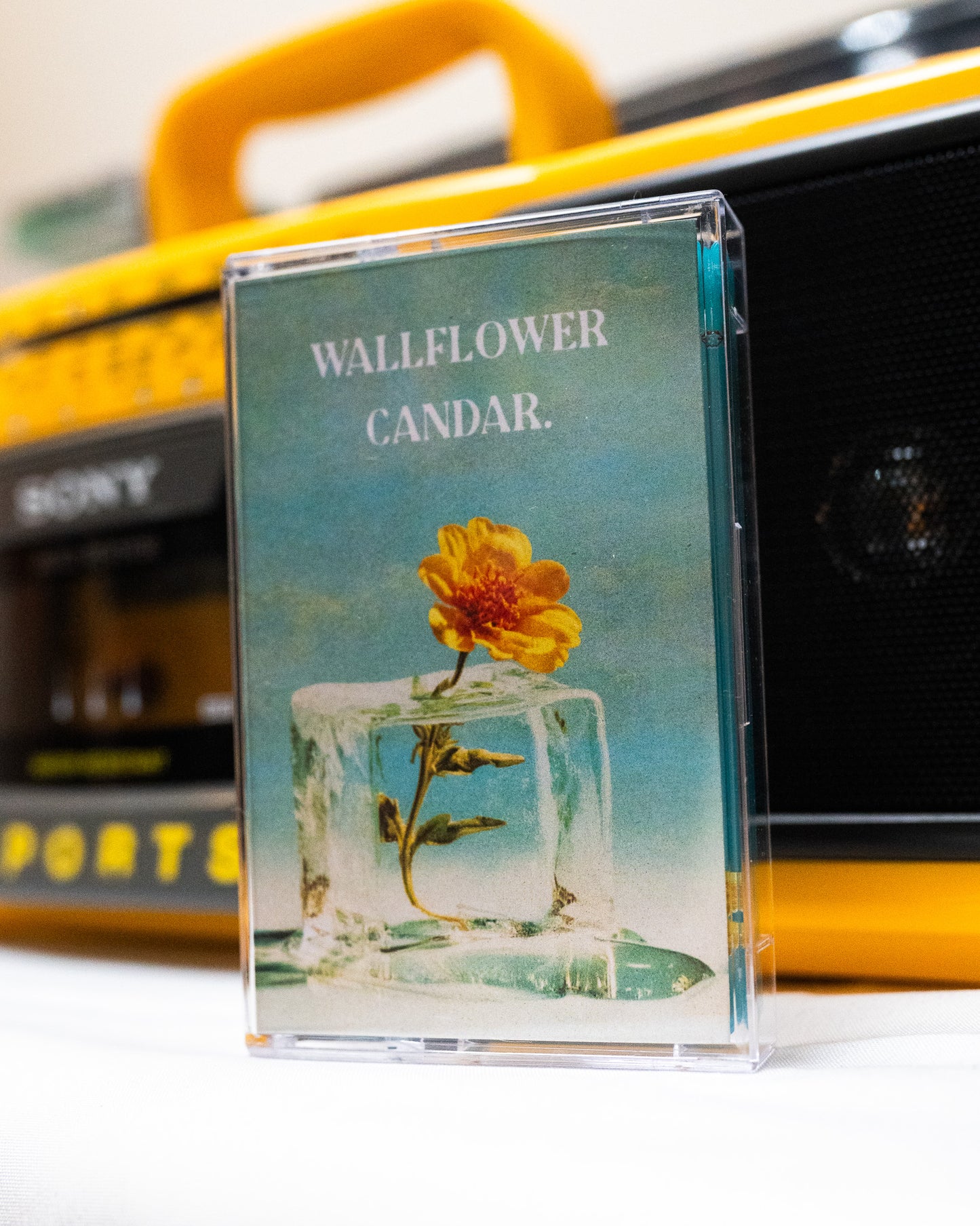 Wallflower EP Cassettes